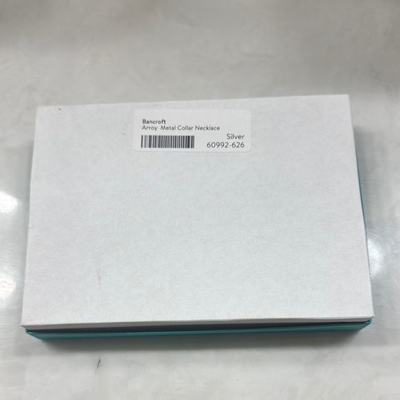 Bancroft Silver Arroy Metal Collar Necklace - Picture 8 of 8